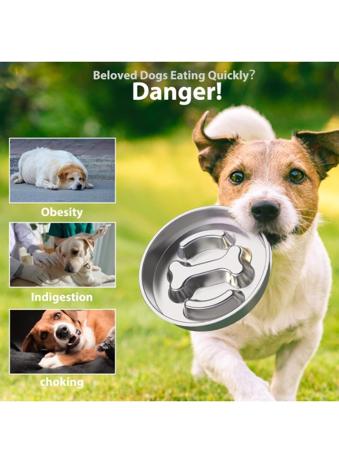 كيت الأطعمة البطيئة للكلاب مجموعة الفولاذ المقاوم للصدأ وعاء طعام الكلاب غير المنزلق للسلالات الصغيرة والمتوسطة الكبيرة 2 ~ 4 أكواب وعاء الأطعمة البطيئة للكلاب للأكل السريع يبطئ أسفل الأكل وعاء طعام الكلاب وأوعاء المياه الكلاب 2Packs - Image 2